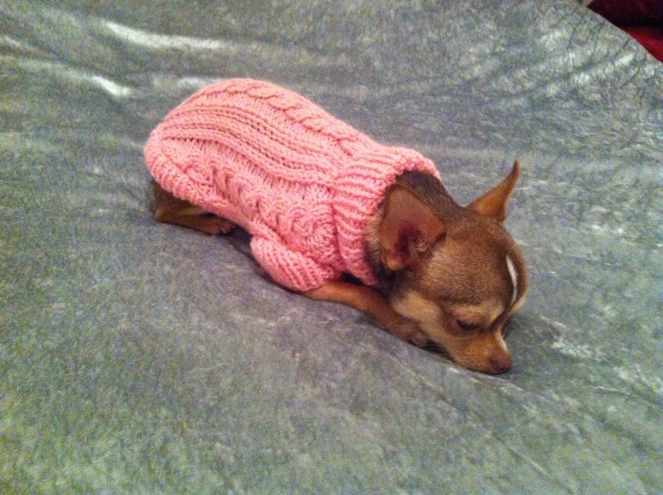 Petit Pull Col Roule en Maille Fantesie