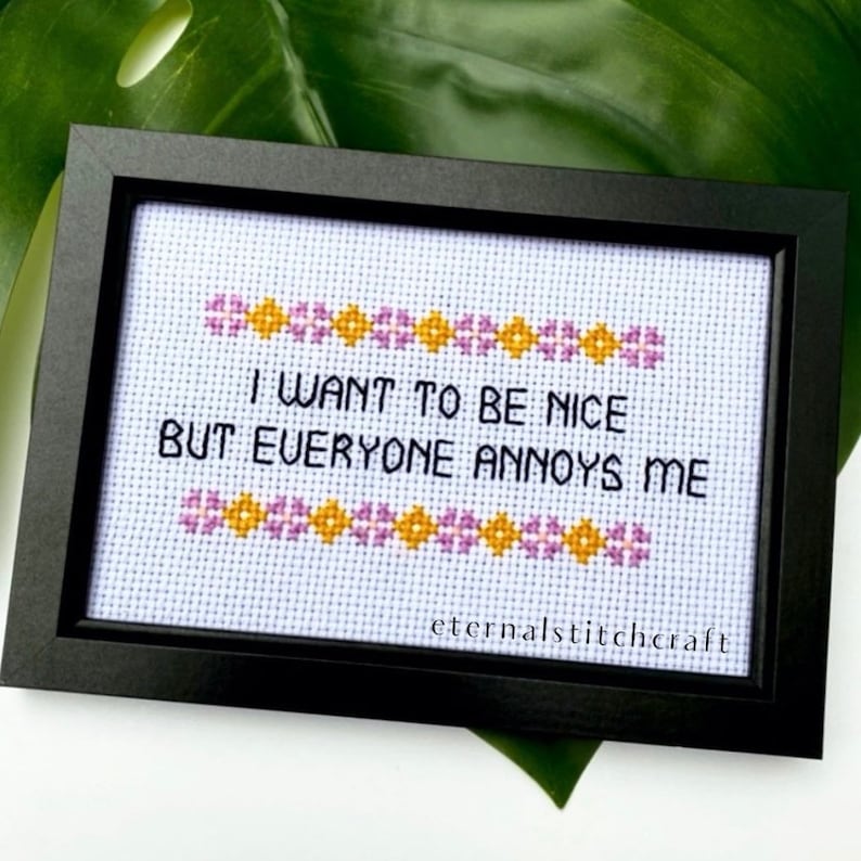 May include: A framed cross-stitch with a white background and purple and yellow flowers around the border. The text reads "I want to be nice but everyone annoys me." The bottom right corner has the text "eternalstitchcraft".