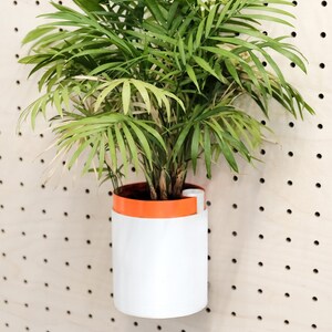 May include: A green potted plant with a white and orange planter hanging on a pegboard wall.