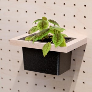 Suspended flower pot - pegboard wall accessory