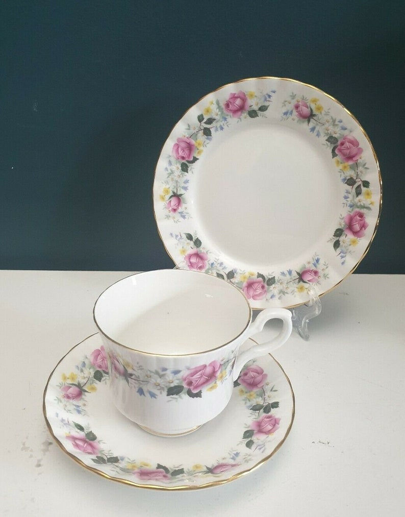 Vintage Salisbury England Bone China Pink Roses Tea Trio Set Cup Saucer