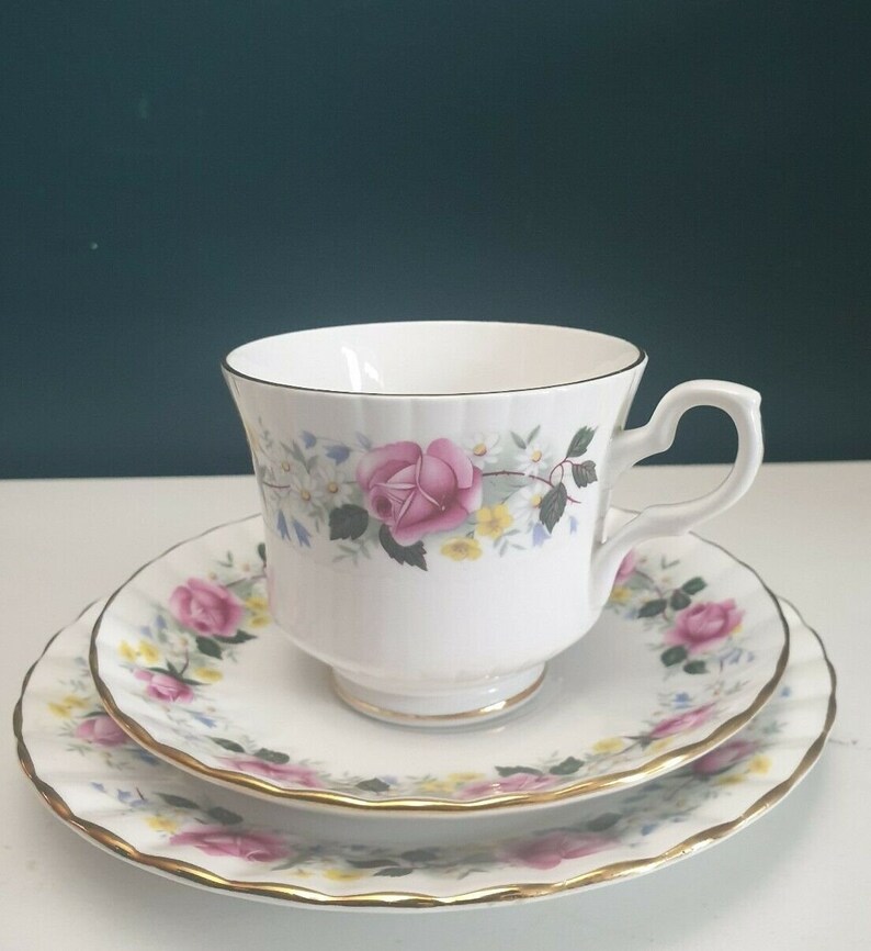 Vintage Salisbury England Bone China Pink Roses Tea Trio Set Cup Saucer