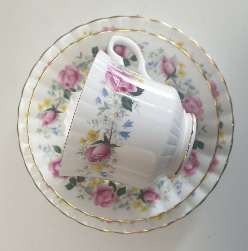 Vintage Salisbury England Bone China Pink Roses Tea Trio Set Cup Saucer