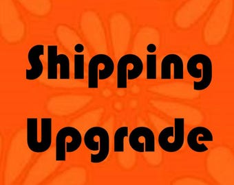 Shipping Upgrade for Ready to Ship