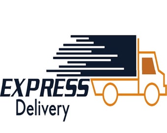 EXPEDITE DELIVERY USA