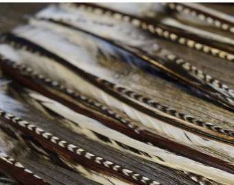 Extensiones de plumas #Blanco y Negro# con plumas anchas