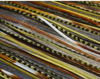 Extensiones de plumas #FOREST#