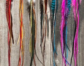 Paquete de 10 extensiones de resorte