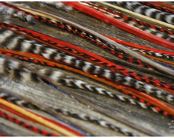 Extensiones de plumas #LOVE#