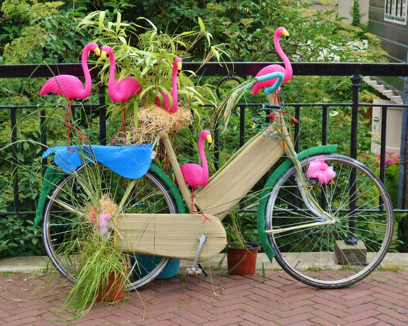 where can i buy a flamingo bike