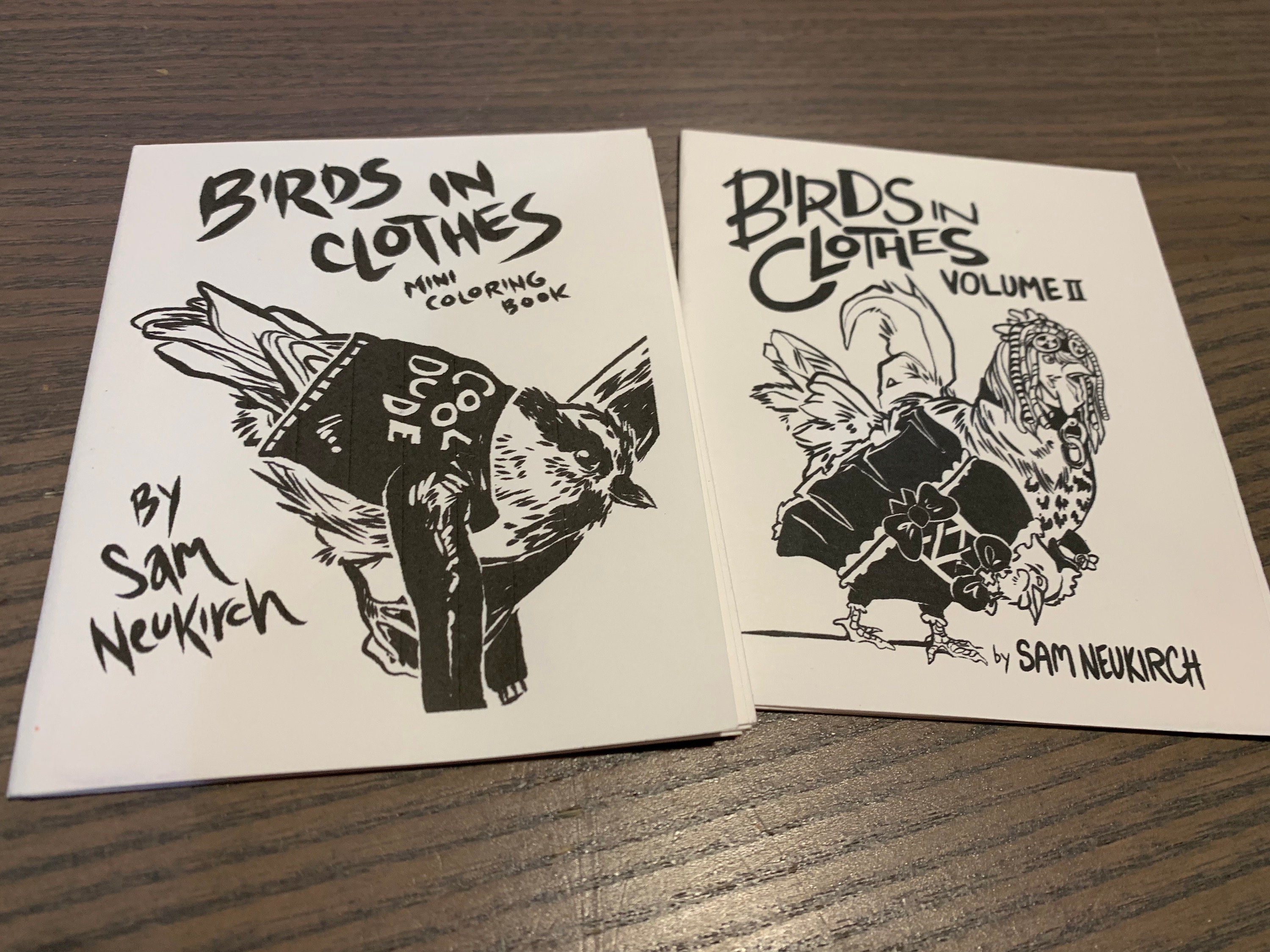Download Birds In Clothes 1 2 Mini Coloring Book Zine Etsy