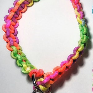 May include: A multi-colored paracord dog collar with a silver D-ring. The collar is made with neon green, pink, orange, and yellow paracord.