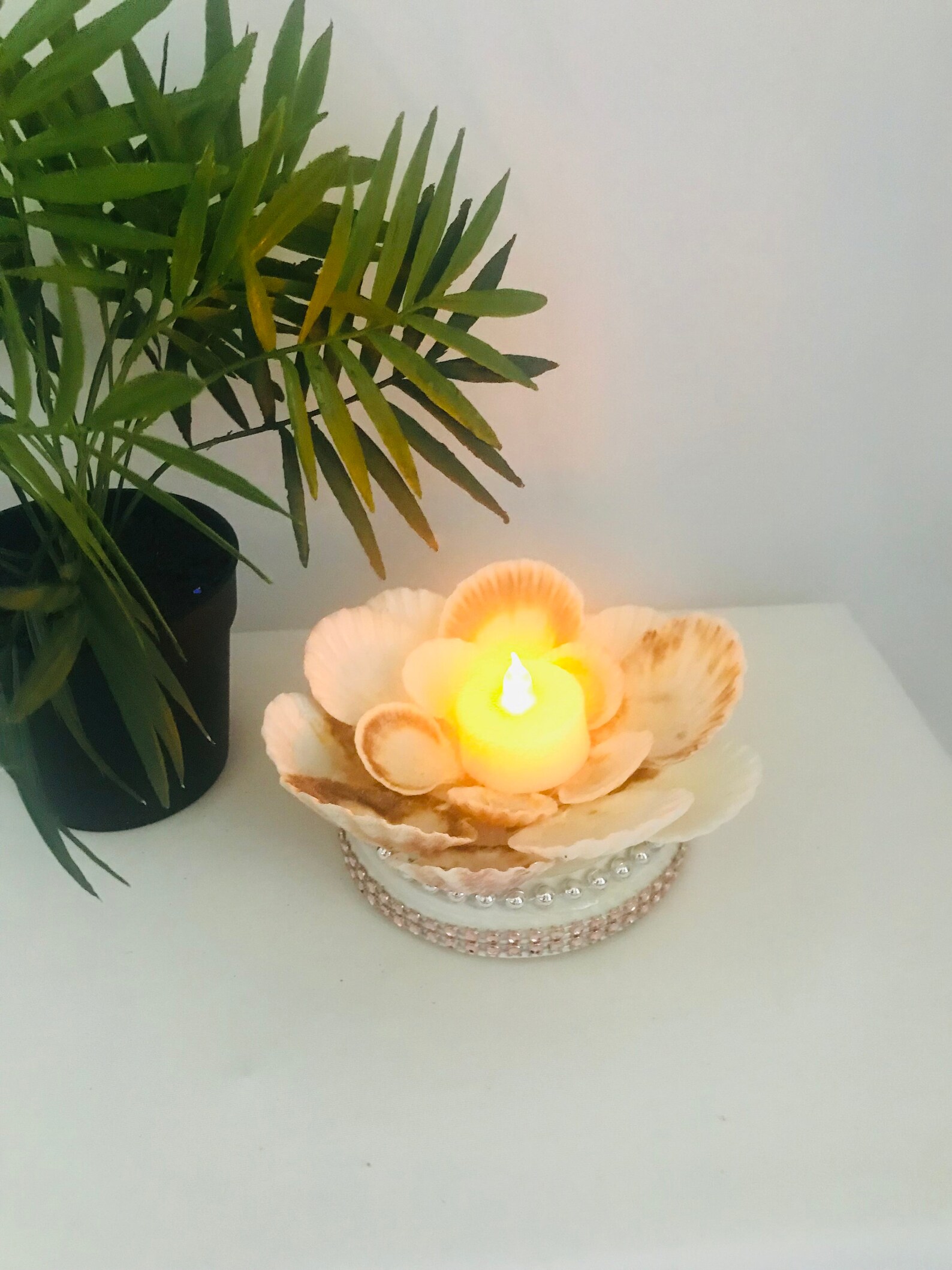Sea Shell Tea Light Holders Sea Shell Table Night Light Etsy