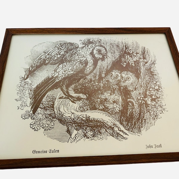 Vintage Framed German Owl Print Gemeine Eulen Etching Repro Ken Edward Studio