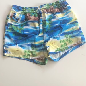 May include: Blue and yellow swim trunks with a tropical print featuring palm trees and a sunset.