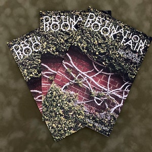 Destination: Book Fair Volume 2 Print Pomona Art Book Fair | Photography Zines