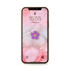 Puede incluir: Un iPhone dorado con un fondo de mármol rosa y un icono de flor morada en la pantalla. La hora es 15:55 y la fecha es Sonntag, 5. Juni.