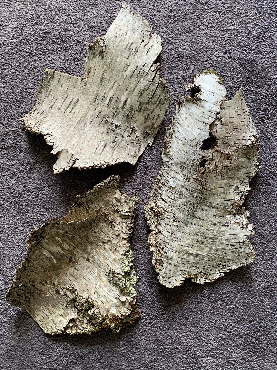 Birch Bark Pieces Etsy