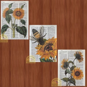 Sunflower & Bee Collection- 3 vintage dictionary prints