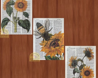 Sunflower & Bee Collection- 3 vintage dictionary prints