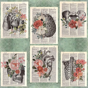 Floral Anatomy Themed Dictionary Print Collection (6 prints)