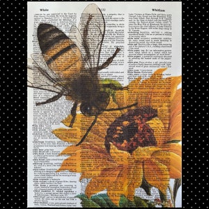May include: A close-up of a bee on a sunflower. The bee is black and yellow with translucent wings. The sunflower is yellow with brown seeds. The image is from a vintage dictionary page with text about the words "White" and "Whitlam".