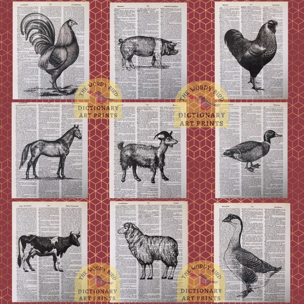 Animal Dictionary Etsy