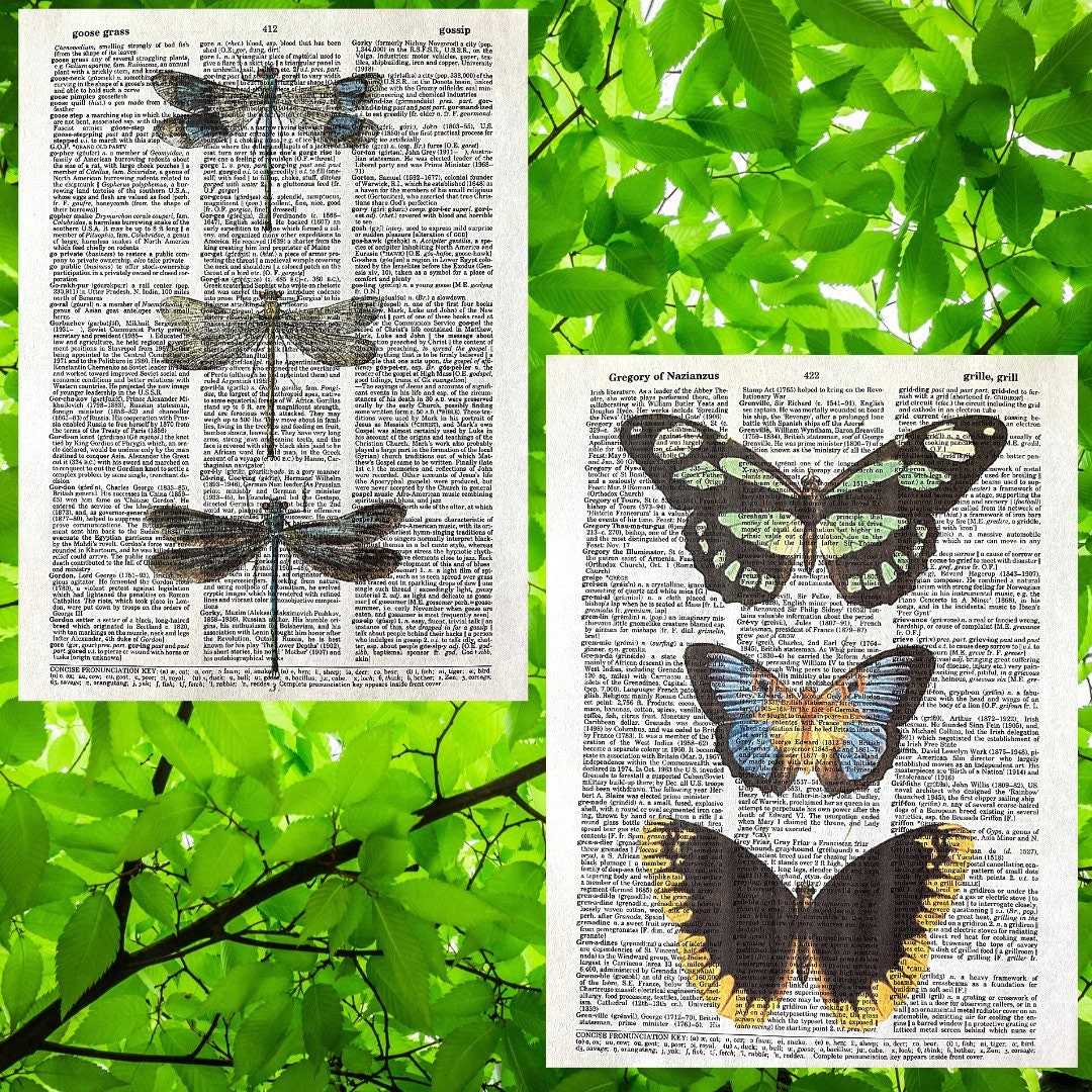 Vintage Dictionary Print Set: Dragonflies & Butterflies - Etsy