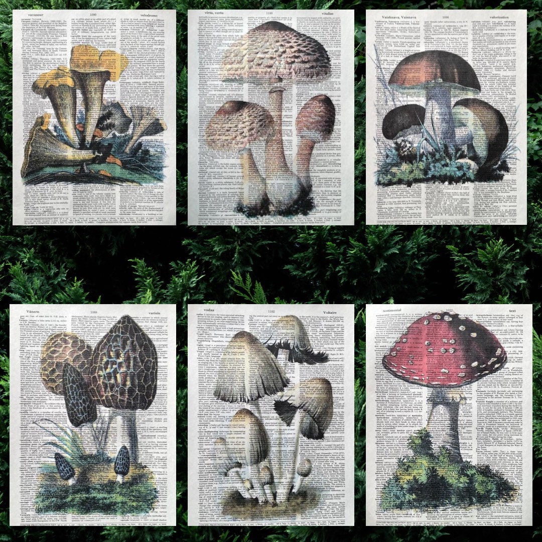 Wild Mushroom Dictionary Print Collection Etsy