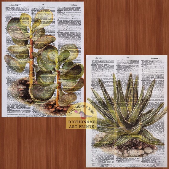 butterfly flower seed The Old Farmer's Almanac Butterfly Milkweed Seeds  SimplyGro