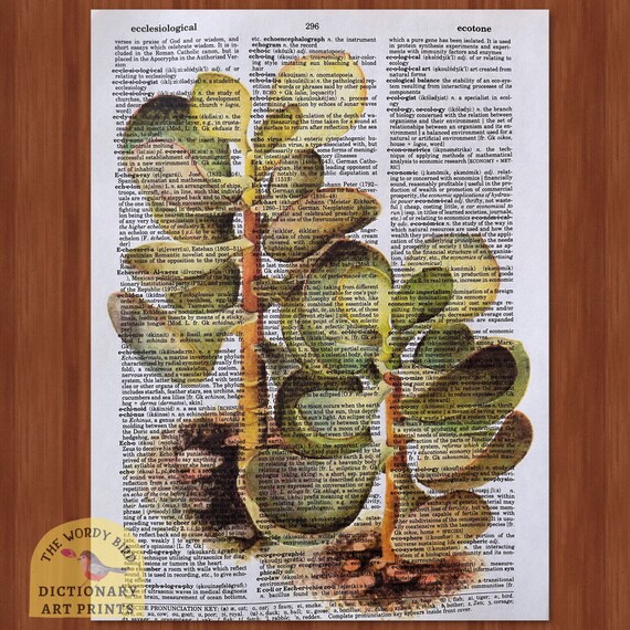 Vintage Succulent Dictionary Print Set - Etsy