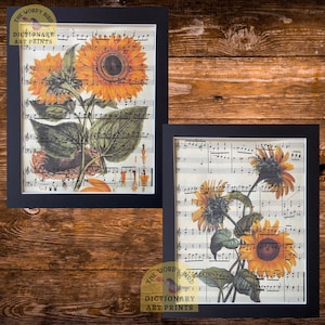 8x10 Vintage sheet music print: Sunflower Set