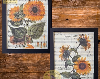 May include: Two framed prints of vintage botanical illustrations of sunflowers on sheet music. The prints are in black frames with a white mat. The text "The Wordy Bird Dictionary Art Prints" is visible in the bottom right corner of the image.