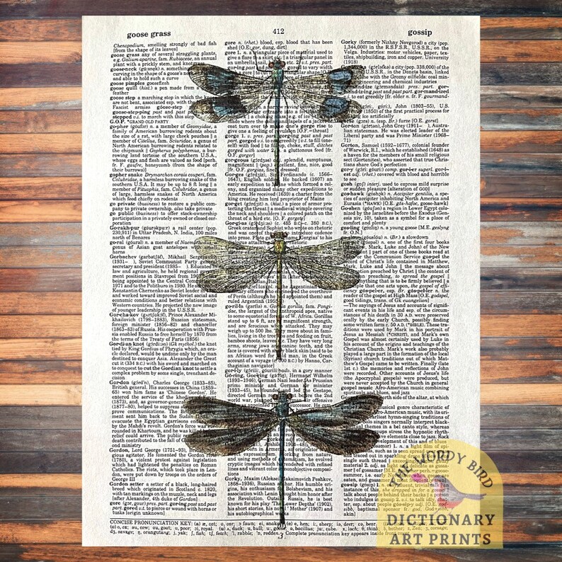 Vintage Dictionary Print Collection: Ladybugs, Butterflies, and ...