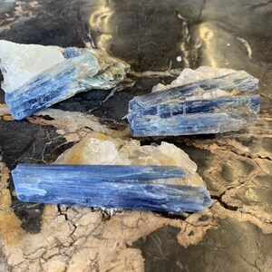 Extra Quality Kyanite in Quartz