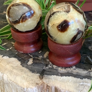 Septarian Spheres