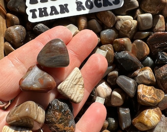 Petrified Wood Tumbled Stones