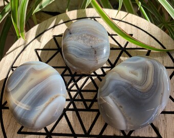 Banded Agate Palms
