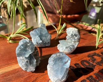 Celestite Free Forms