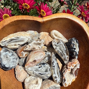 May include: A wooden bowl filled with various polished agate stones in shades of gray, white, brown, and black. The bowl is set against a backdrop of vibrant pink flowers with yellow centers, creating a natural and earthy aesthetic.