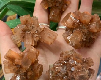 Star Aragonite Clusters
