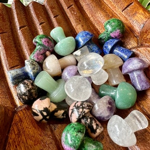 Mini Crystal Mushrooms