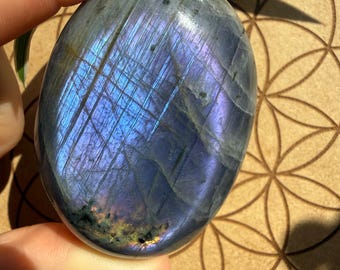 Purple Labradorite Palm