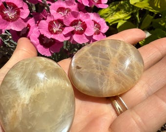 May include: Two polished, oval-shaped stones with a light tan color and subtle internal patterns are held in a hand. The stones are smooth and reflective, with a slight sheen. Pink flowers with dark red centers are in the background.