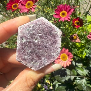 May include: A rough-cut, hexagonal-shaped, pink crystal is held in front of a background of vibrant red and yellow flowers. The crystal has a textured surface with visible lines and variations in color. The flowers are in full bloom, adding a bright contrast.