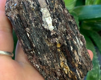 Black Tourmaline with Mica