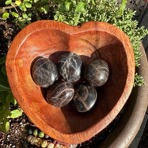 Black Moonstone Palms
