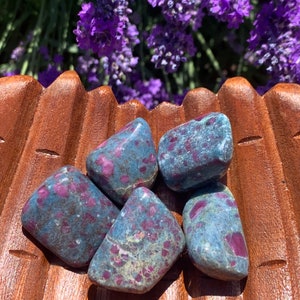 Ruby in Kyanite Tumbled Stones