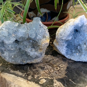 Large Celestite Clusters