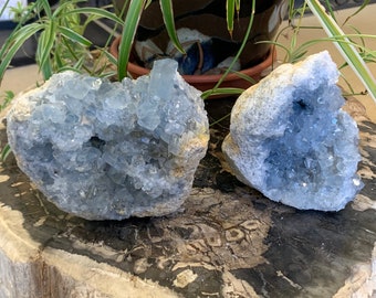 Large Celestite Clusters